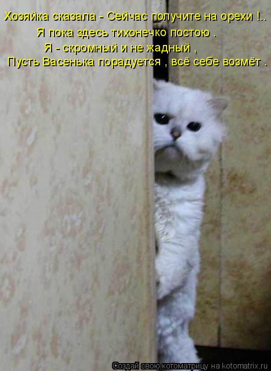 Хозяйка сказала - Сейчас получите на орехи !.. Пусть Васенька порадуется , всё себе возмёт . Я по... Котоматрица: Хозяйка сказала - Сейчас получите на орехи !.. Пусть Васенька порадуется , всё себе возмёт . Я пока здесь тихонечко постою . Я - скромный и н
