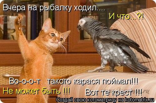 Вчера на рыбалку ходил.... И что...?! Во-о-о-т такого карася поймал!!! Не может быть !!! Вот те кре... Котоматрица: Вчера на рыбалку ходил.... И что...?! Во-о-о-т такого карася поймал!!! Не может быть !!! Вот те крест !!!