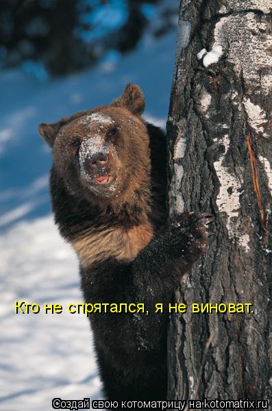 Кто не спрятался, я не виноват.... Котоматрица: Кто не спрятался, я не виноват.