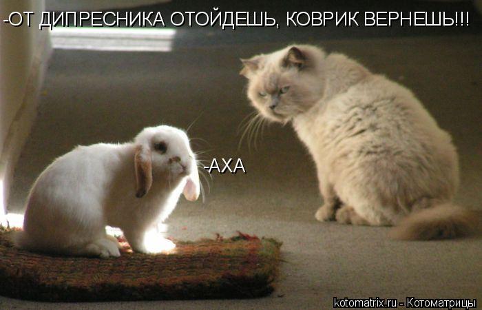 -ОТ ДИПРЕСНИКА ОТОЙДЕШЬ, КОВРИК ВЕРНЕШЬ!!! -АХА... Котоматрица: -ОТ ДИПРЕСНИКА ОТОЙДЕШЬ, КОВРИК ВЕРНЕШЬ!!! -АХА