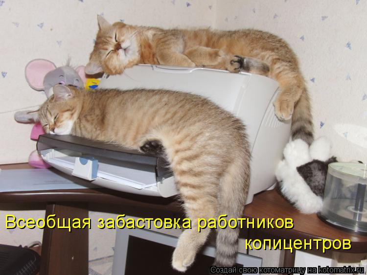 Всеобщая забастовка работников копицентров... Котоматрица: Всеобщая забастовка работников копицентров