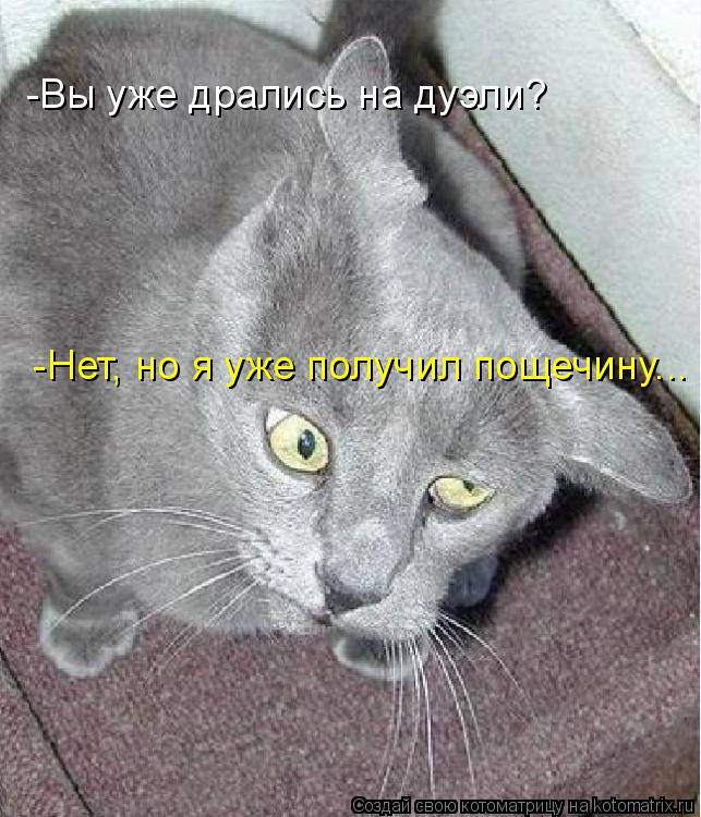 -Вы уже дрались на дуэли? -Нет, но я уже получил пощечину...... Котоматрица: -Вы уже дрались на дуэли? -Нет, но я уже получил пощечину...