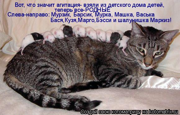 Вот, что значит агитация- взяли из детского дома детей, теперь все-РОДНЫЕ Слева-направо: Мурзик, Бар... Котоматрица: Вот, что значит агитация- взяли из детского дома детей, теперь все-РОДНЫЕ Слева-направо: Мурзик, Барсик, Мурка, Машка, Васька Бася,Кузя,Марго,