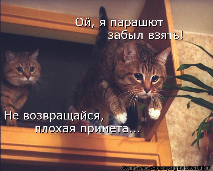 Котоматрица: Не возвращайся,  плохая примета... Ой, я парашют  забыл взять!