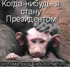 Котоматрица: Когда-нибудь, я стану  Президентом!