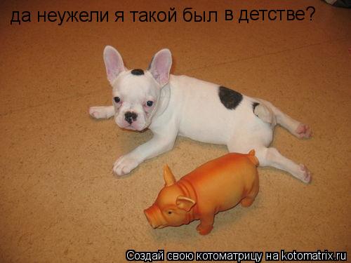 да неужели я такой был в детстве?... Котоматрица: да неужели я такой был в детстве?