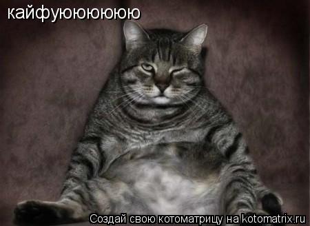 кайфуюююююю... Котоматрица: кайфуюююююю