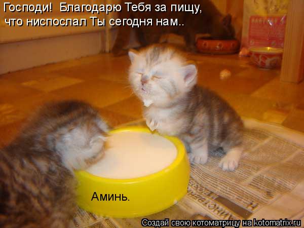 Господи! Благодарю Тебя за пищу, что ниспослал Ты сегодня нам.. Аминь.... Котоматрица: Господи! Благодарю Тебя за пищу, что ниспослал Ты сегодня нам.. Аминь.