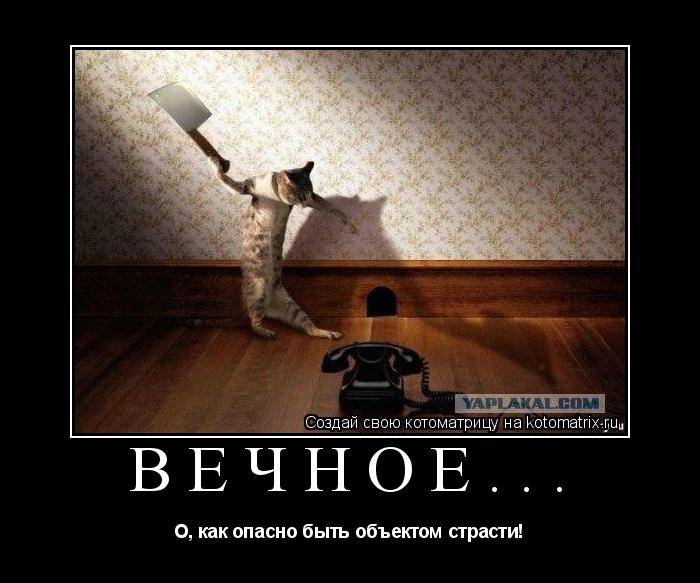 ВЕЧНОЕ... О, как опасно быть объектом страсти!... Котоматрица: ВЕЧНОЕ... О, как опасно быть объектом страсти!