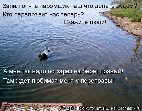 Запил опять паромщик наш,что делать будем? А мне так надо по зарез на берег правый! Там ждёт любимая ... Котоматрица: Запил опять паромщик наш,что делать будем? А мне так надо по зарез на берег правый! Там ждёт любимая меня у переправы! Кто переправит нас теп
