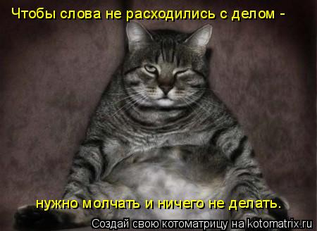 Котоматрица: Чтобы слова не расходились с делом -  нужно молчать и ничего не делать.