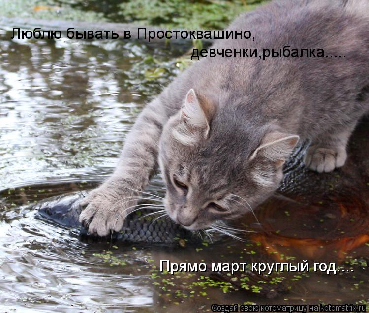 Котоматрица: Люблю бывать в Простоквашино, девченки,рыбалка..... Прямо март круглый год....
