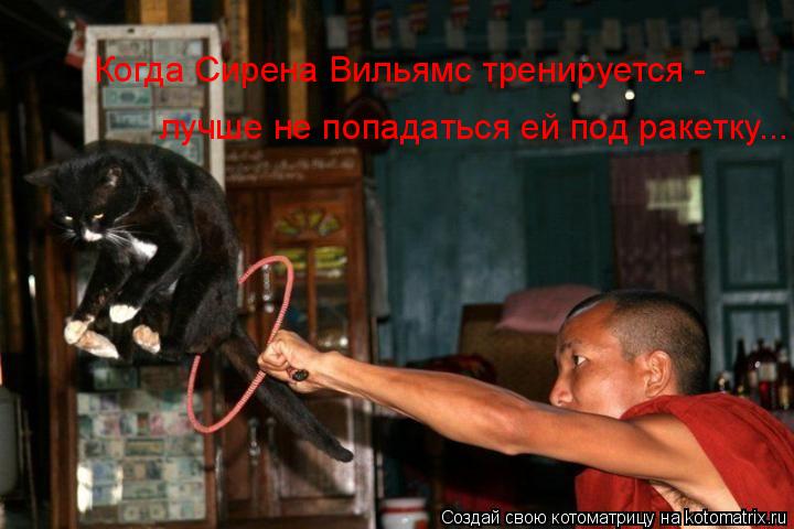 лучше не попадаться ей под ракетку….. Когда Сирена Вильямс тренируется -... Котоматрица: лучше не попадаться ей под ракетку….. Когда Сирена Вильямс тренируется -