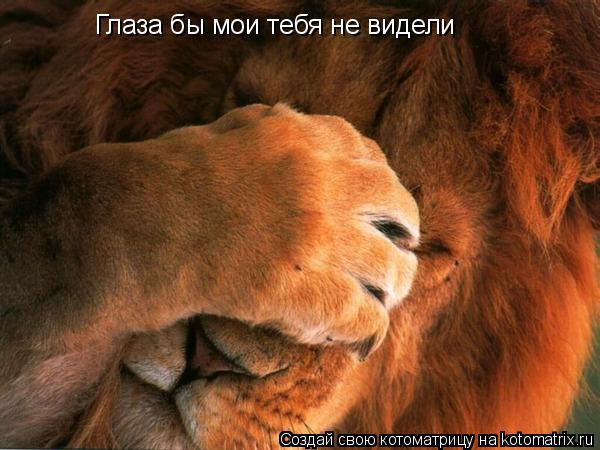 Как сделать чтобы тебя не видели на сайте одноклассники 913