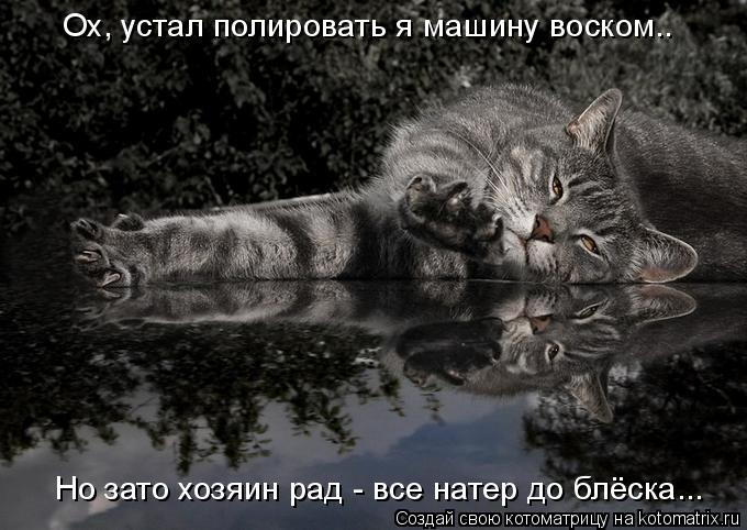 Ох, устал полировать я машину воском.. Но зато хозяин рад - все натер до блёска...... Котоматрица: Ох, устал полировать я машину воском.. Но зато хозяин рад - все натер до блёска...