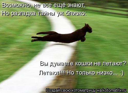 Возможно, не все ещё знают, Вы думаете кошки не летают? Летают!!! Но только низко... :) Но разгадка т... Котоматрица: Возможно, не все ещё знают, Вы думаете кошки не летают? Летают!!! Но только низко... :) Но разгадка тайны уж близко: