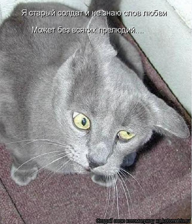 Я старый солдат и не знаю слов любви Может без всяких прелюдий....... Котоматрица: Я старый солдат и не знаю слов любви Может без всяких прелюдий....
