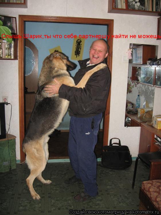Слышь Шарик,ты что себе партнершу найти не можешь?... Котоматрица: Слышь Шарик,ты что себе партнершу найти не можешь?