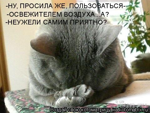 Котоматрица: -НУ, ПРОСИЛА ЖЕ, ПОЛЬЗОВАТЬСЯ- -ОСВЕЖИТЕЛЕМ ВОЗДУХА...А? -НЕУЖЕЛИ САМИМ ПРИЯТНО?