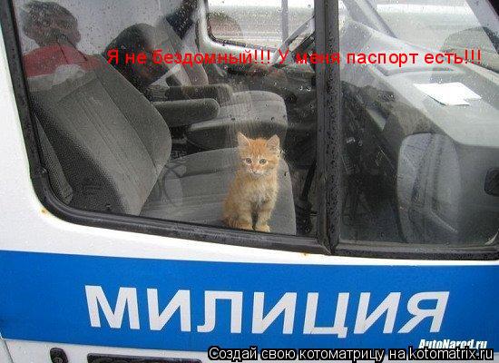 Котоматрица: Я не бездомный!!! У меня паспорт есть!!!