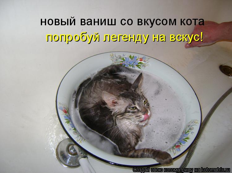 Котоматрица: новый ваниш со вкусом кота попробуй легенду на вскус!