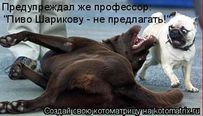 Предупреждал же профессор: "Пиво Шарикову - не предлагать!"... Котоматрица: Предупреждал же профессор: "Пиво Шарикову - не предлагать!"