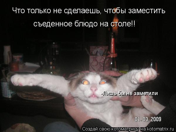 Что только не сделаешь, чтобы заместить съеденное блюдо на столе!! -Лишь бы не заметили... Котоматрица: Что только не сделаешь, чтобы заместить съеденное блюдо на столе!! -Лишь бы не заметили