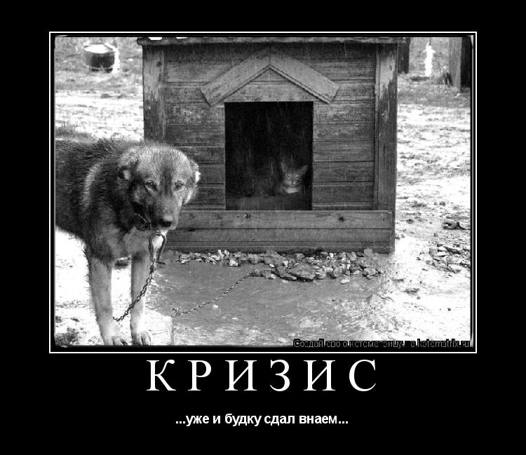 КРИЗИС ...уже и будку сдал внаем...... Котоматрица: КРИЗИС ...уже и будку сдал внаем...