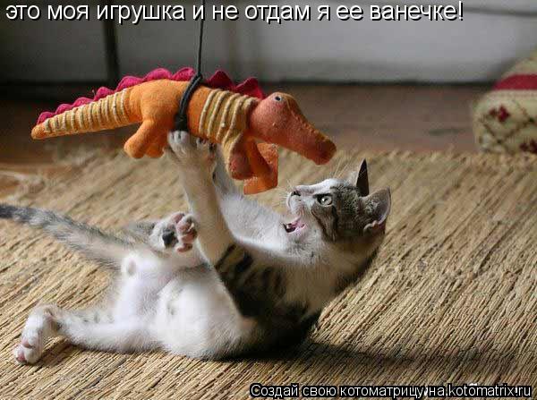 Котоматрица: это моя игрушка и не отдам я ее ванечке!