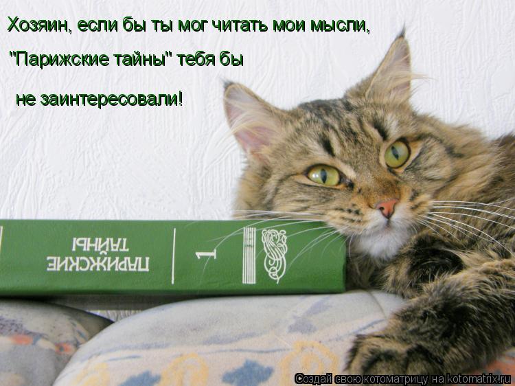 Хозяин, если бы ты мог читать мои мысли, "Парижские тайны" тебя бы не заинтересовали!... Котоматрица: Хозяин, если бы ты мог читать мои мысли, "Парижские тайны" тебя бы не заинтересовали!