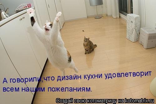 Котоматрица: А говорили,что дизайн кухни удовлетворит всем нашим пожеланиям.