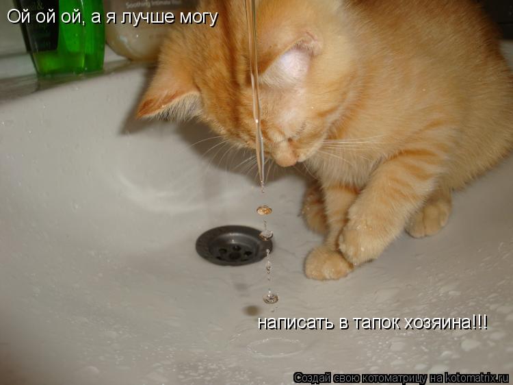 Ой ой ой, а я лучше могу написать в тапок хозяина!!!... Котоматрица: Ой ой ой, а я лучше могу написать в тапок хозяина!!!