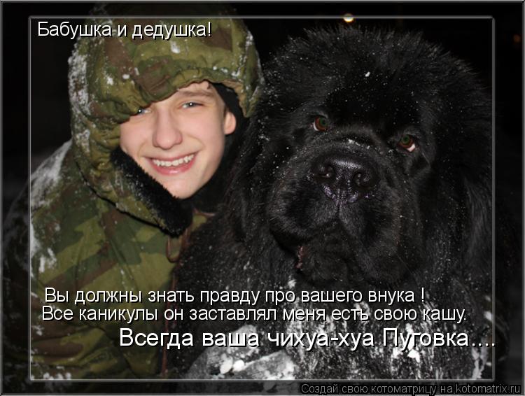 Бабушка и дедушка! Вы должны знать правду про вашего внука ! Все каникулы он заставлял меня есть свою... Котоматрица: Бабушка и дедушка! Вы должны знать правду про вашего внука ! Все каникулы он заставлял меня есть свою кашу. Всегда ваша чихуа-хуа Пуговка....