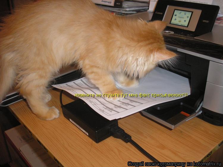 извените не стучите тут мне факс присылаююют!!!... Котоматрица: извените не стучите тут мне факс присылаююют!!!