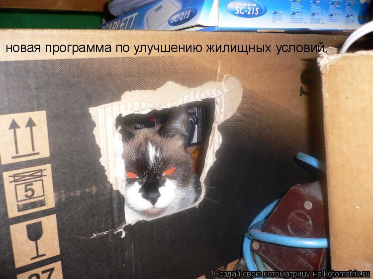 новая программа по улучшению жилищных условий.... Котоматрица: новая программа по улучшению жилищных условий.