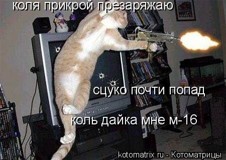 коля прикрой презаряжаю сцуко почти попад коль дайка мне м-16... Котоматрица: коля прикрой презаряжаю сцуко почти попад коль дайка мне м-16