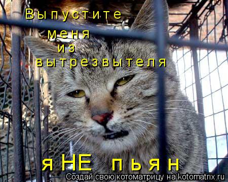 Котоматрица: В ы п у с т и т е м е н я и з в ы т р е з в ы т е л я  я НЕ   п ь я н