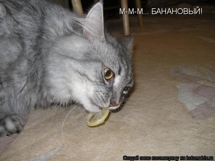 М-М-М... БАНАНОВЫЙ!... Котоматрица: М-М-М... БАНАНОВЫЙ!