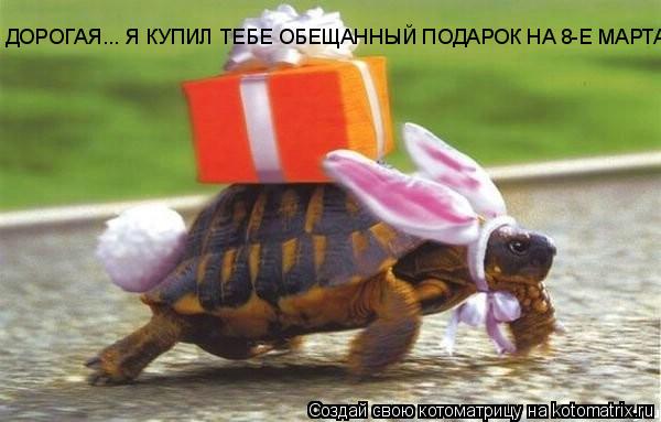 ДОРОГАЯ... Я КУПИЛ ТЕБЕ ОБЕЩАННЫЙ ПОДАРОК НА 8-Е МАРТА... Котоматрица: ДОРОГАЯ... Я КУПИЛ ТЕБЕ ОБЕЩАННЫЙ ПОДАРОК НА 8-Е МАРТА