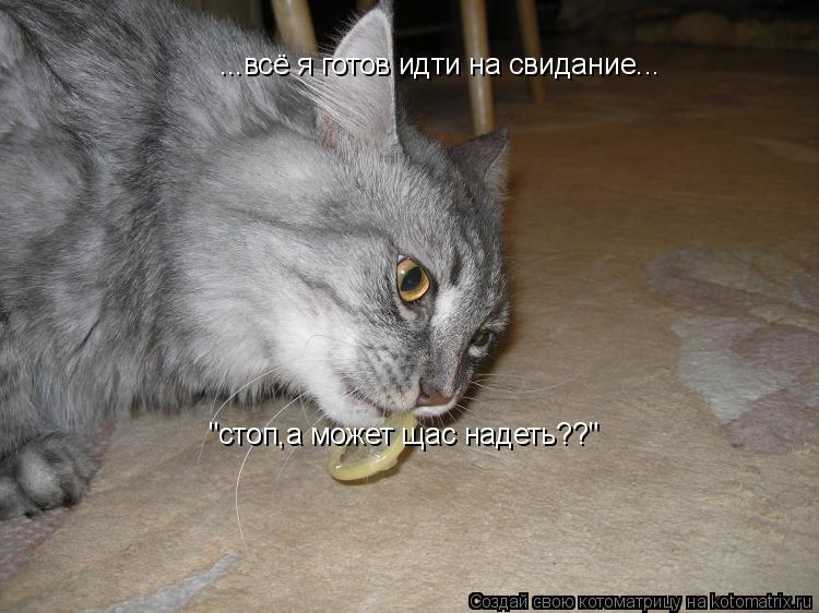 ...всё я готов идти на свидание... "стоп,а может щас надеть??"... Котоматрица: ...всё я готов идти на свидание... "стоп,а может щас надеть??"
