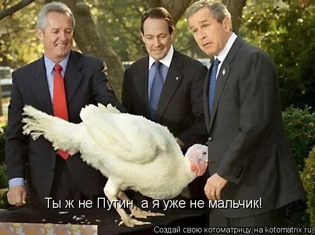 Ты ж не Путин, а я уже не мальчик!... Котоматрица: Ты ж не Путин, а я уже не мальчик!