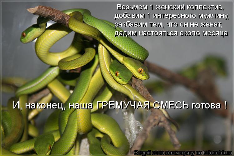 Возьмем 1 женский коллектив, добавим 1 интересного мужчину, разбавим тем, что он не женат, дадим наст... Котоматрица: Возьмем 1 женский коллектив, добавим 1 интересного мужчину, разбавим тем, что он не женат, дадим настояться около месяца И, наконец, наша ГРЕ