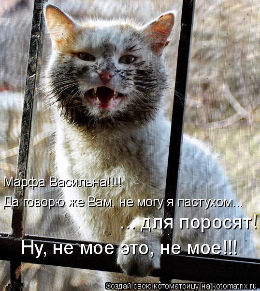 Марфа Васильна!!!! ... для поросят! Да говорю же Вам, не могу я пастухом... Ну, не мое это, не мое!!!... Котоматрица: Марфа Васильна!!!! ... для поросят! Да говорю же Вам, не могу я пастухом... Ну, не мое это, не мое!!!