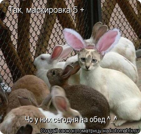 Котоматрица: Так, маскировка 5 + Чо у них сегодня на обед ^_^