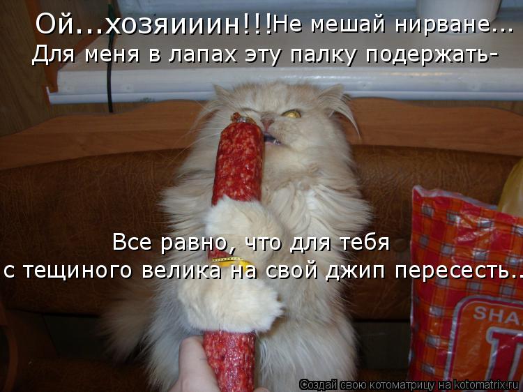 Ой...хозяииин!!! Не мешай нирване... Для меня в лапах эту палку подержать- Все равно, что для тебя с... Котоматрица: Ой...хозяииин!!! Не мешай нирване... Для меня в лапах эту палку подержать- Все равно, что для тебя с тещиного велика на свой джип пересесть...