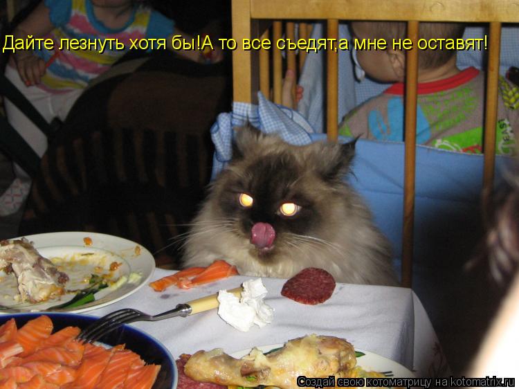Котоматрица: Дайте лезнуть хотя бы!А то все съедят,а мне не оставят! Дайте лезнуть хотя бы!А то все съедят,а мне не оставят! Дайте лезнуть хотя бы!А то все с