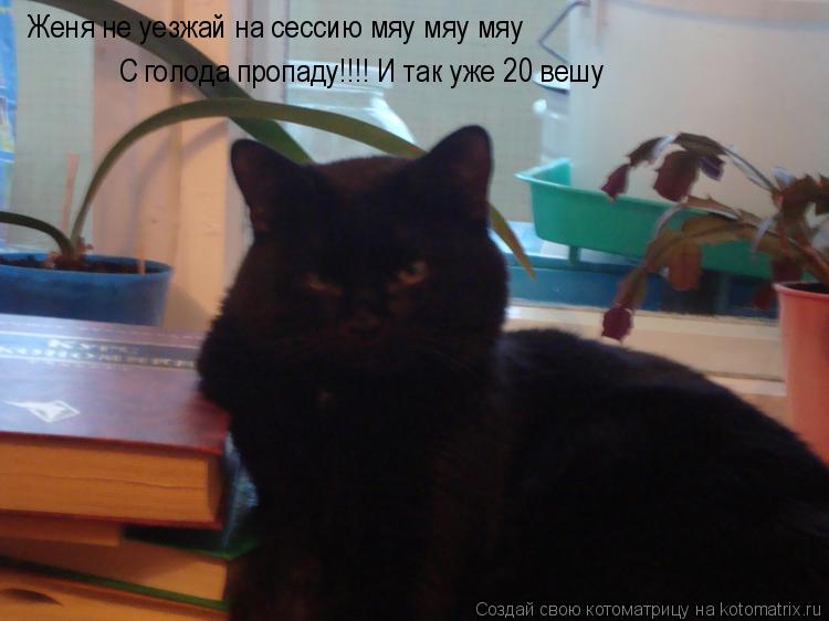 Женя не уезжай на сессию мяу мяу мяу С голода пропаду!!!! И так уже 20 вешу... Котоматрица: Женя не уезжай на сессию мяу мяу мяу С голода пропаду!!!! И так уже 20 вешу