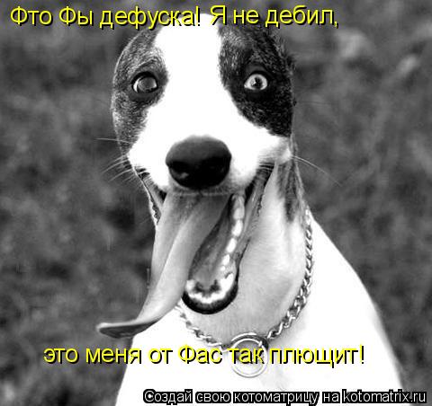 Фто Фы дефуска! Я не дебил, это меня от Фас так плющит!... Котоматрица: Фто Фы дефуска! Я не дебил, это меня от Фас так плющит!