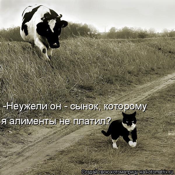 -Неужели он - сынок, которому я алименты не платил?... Котоматрица: -Неужели он - сынок, которому я алименты не платил?