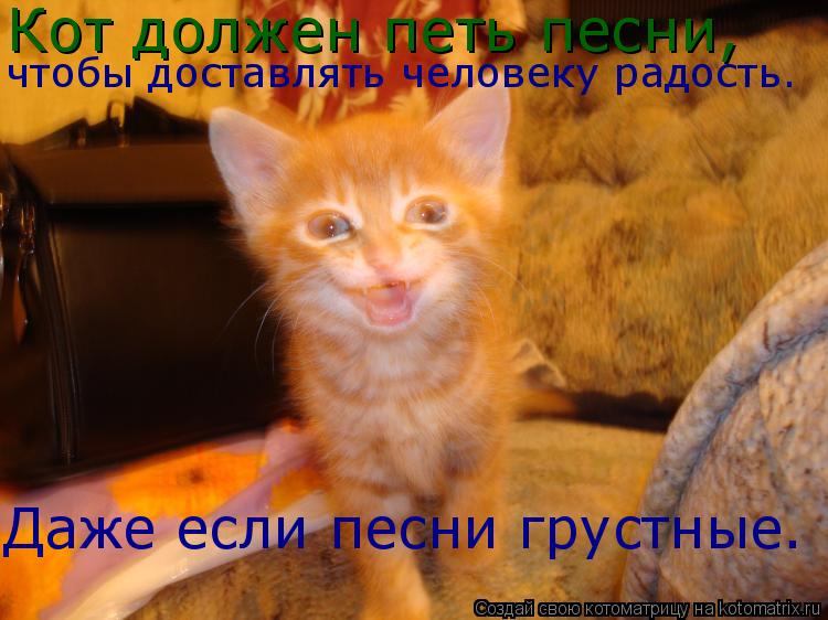 чтобы доставлять человеку радость. Даже если песни грустные. Кот должен петь песни,... Котоматрица: чтобы доставлять человеку радость. Даже если песни грустные. Кот должен петь песни,